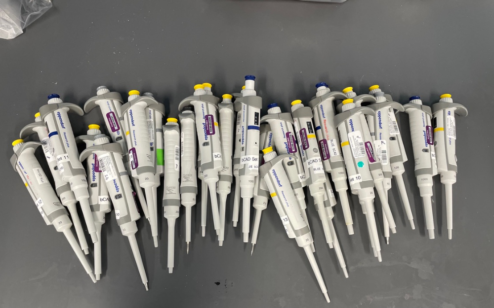 Image of Lot Of Eppendorf Research Plus Single Channel Pipettes